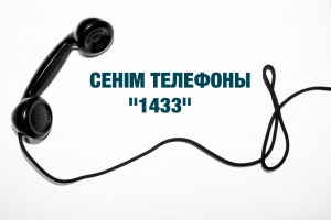 Call-centre 1433